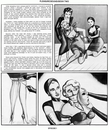 Eric Stanton - Pleasure Bound 2 [Bizarre Comix 13.2, EN] cover