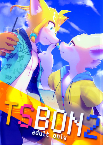 TSBON 2 cover