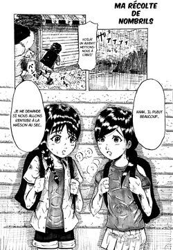 MISANGA - Ma Récolte De Nombrils