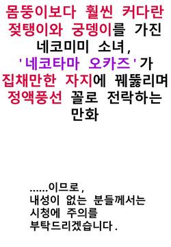 Keomisyeon Manhwa Nekotama Gaui Seongsajeong