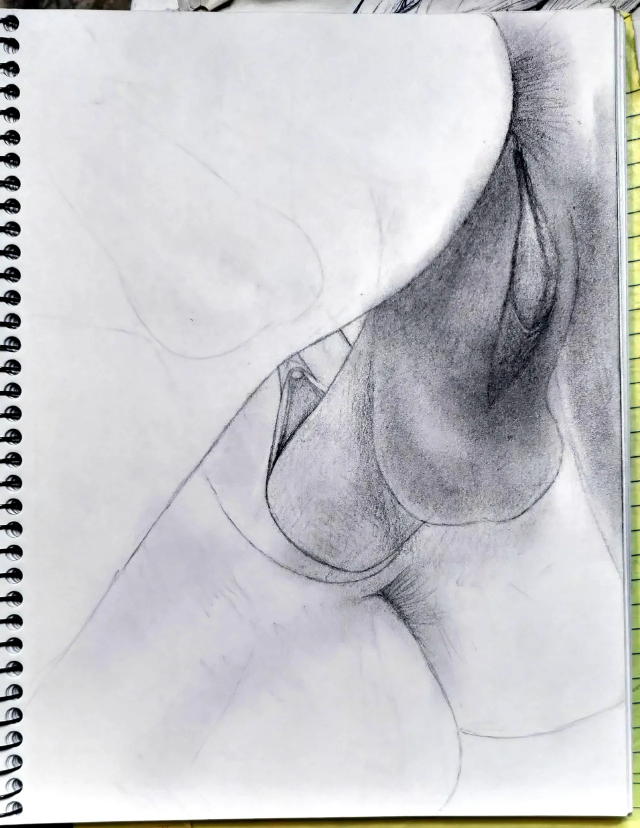 Futanari Drawn Right by ME page 12 full