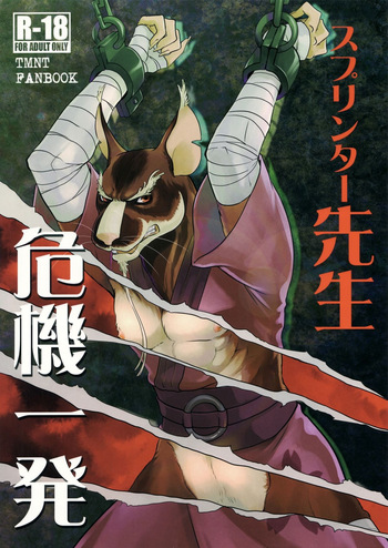 (Fur-st 8) [INK (Kreuz, Kandagawa Gufu)] Splinter Sensei Kikiippatsu | Splinter Sensei's Crisis (Teenage Mutant Ninja Turtles) [English] [rjdog116] cover