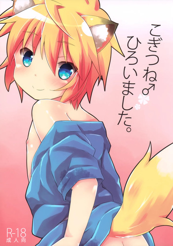 (C88) [Rideshion (Kazushi)] Kogitsune ♂ Hiroimashita. cover