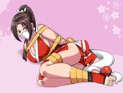 lostonezero Mai Shiranui不知火舞 图片集