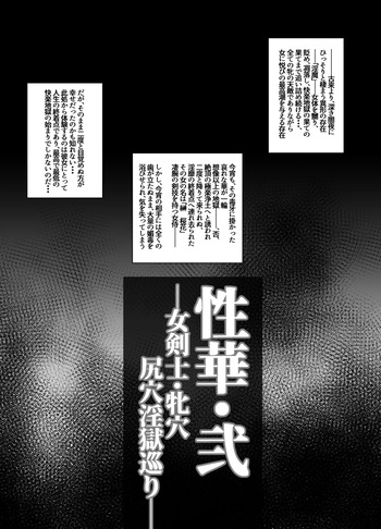 [H.B (B-River)] 性華・弐 女剣士・牝穴尻穴淫獄巡り cover