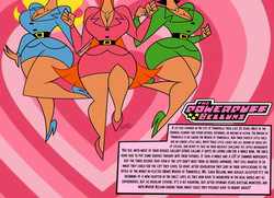 The Powerpuff Belles