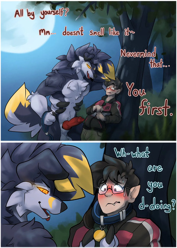 (niftiernight) Lycanroc Woods cover