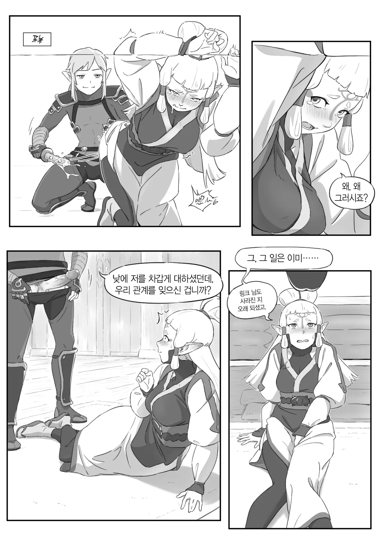海拉鲁欲望传说 | 하이랄 욕망 전설 page 10 full