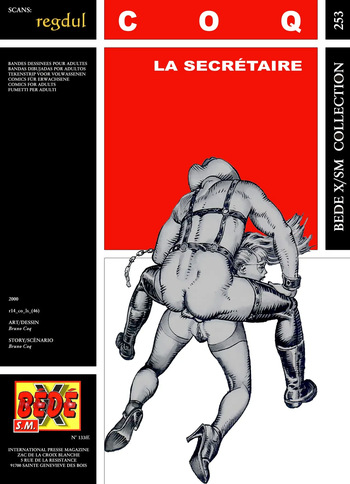 [Bédé X S.M. 253] Bruno Coq [= Pitek] - Les aventures de Karine #2 : La Secrétaire cover