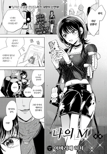 [Ibarame Hisa] Boku no M Zenpen | 나의 M~전편 (COMIC BAVEL 2025-06) [Korean] [Decensored] [Digital] cover