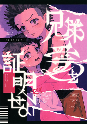 [Shiroi Heya (Wapin)] Kyoudai ai o Shoumei Seyo (Slam Dunk) cover