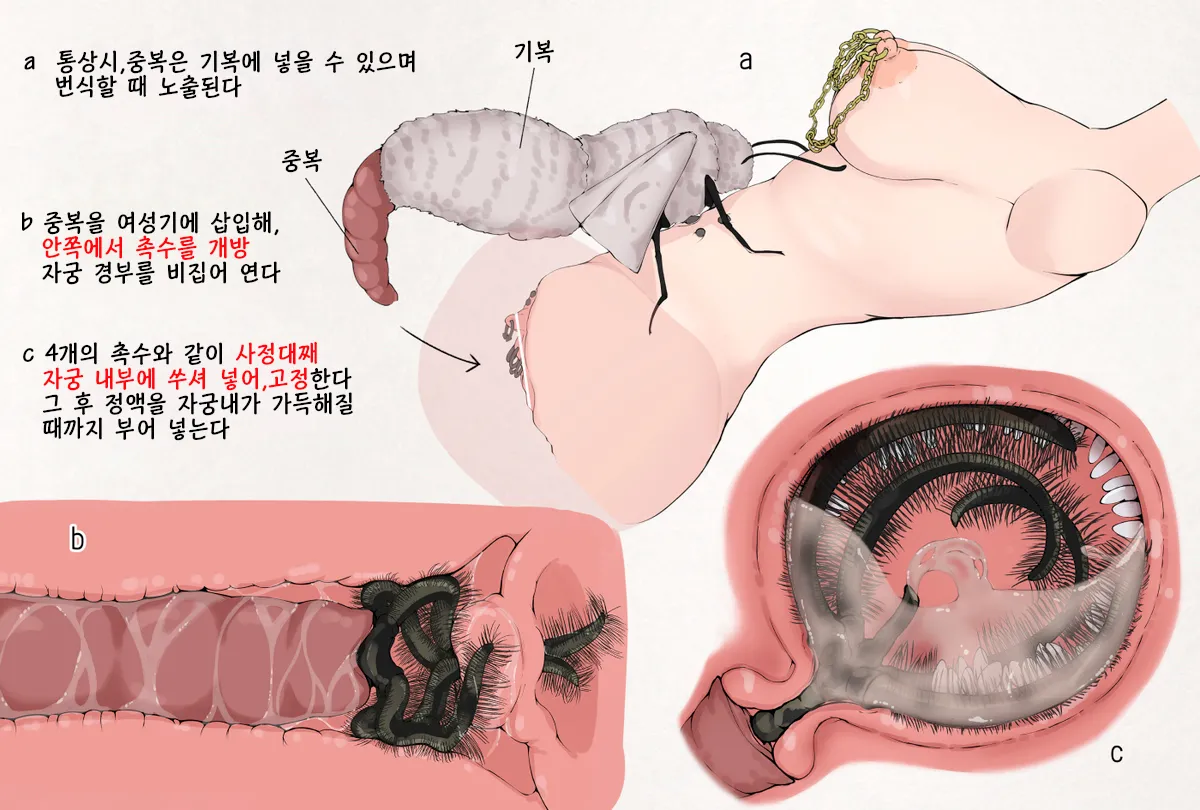 Mushi Research Report EX No.12 page 3 full
