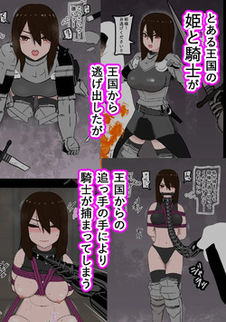 騎士・姫敗北拘束記録