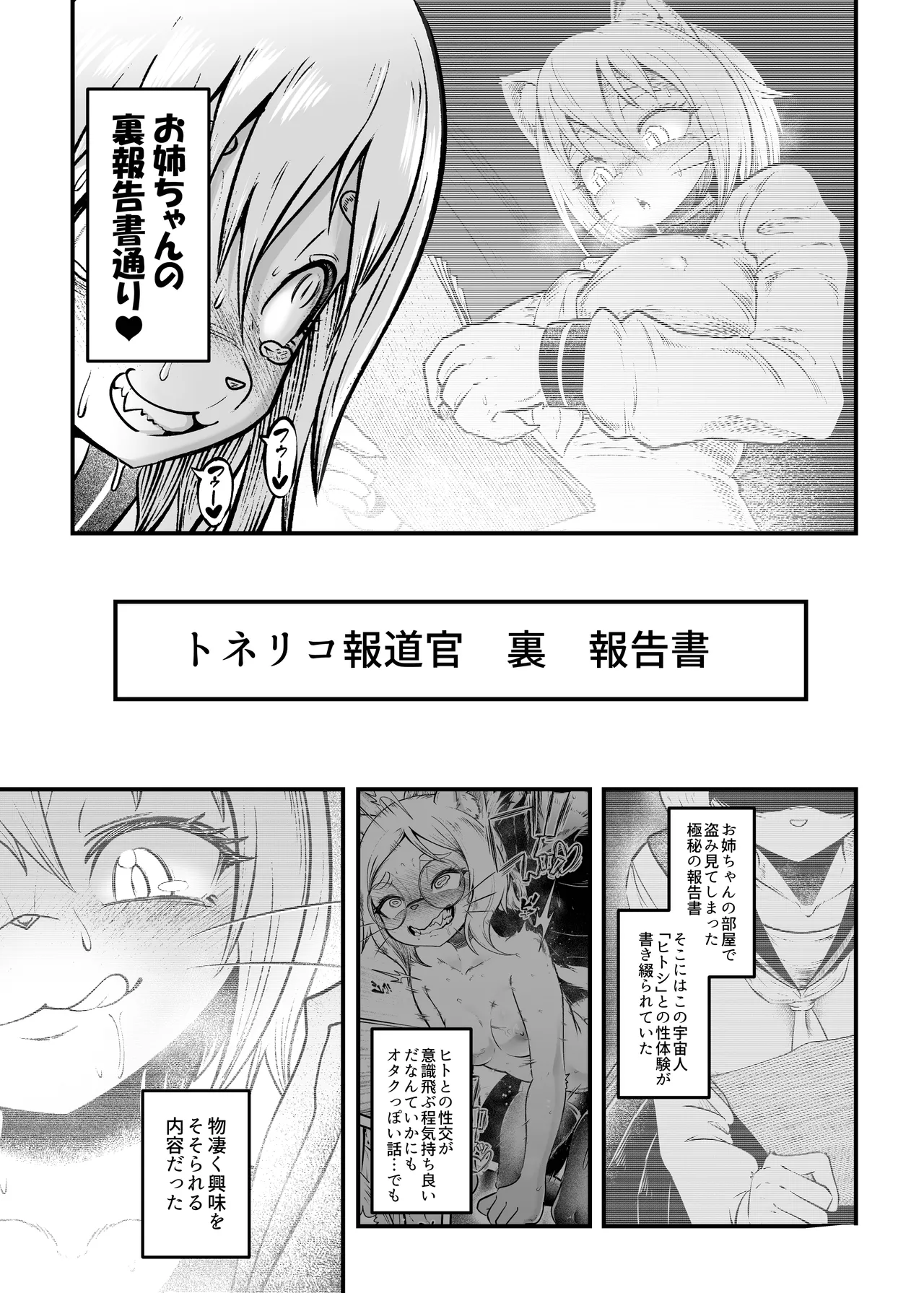 Tonelico Houdoukan no Ura Houkokusho 2 page 12 full