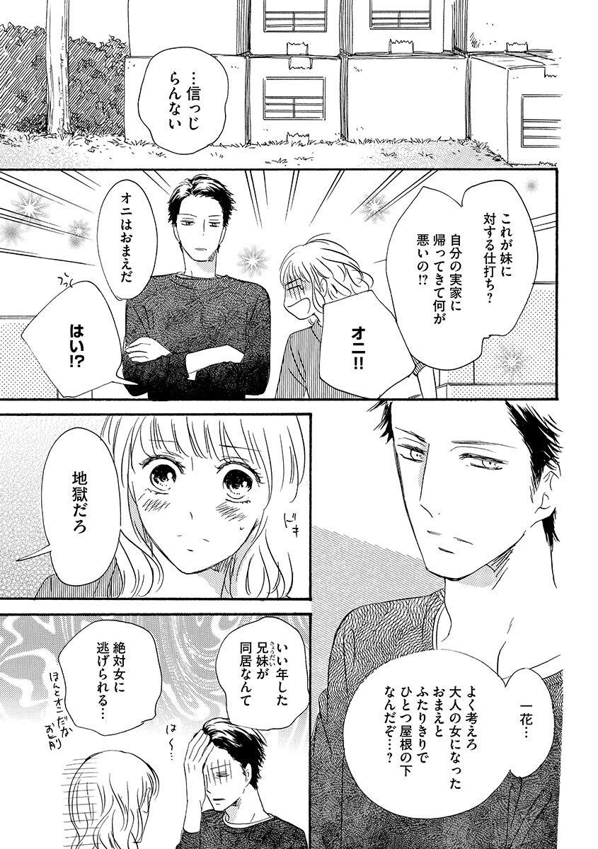 Ani no Koibito page 12 full