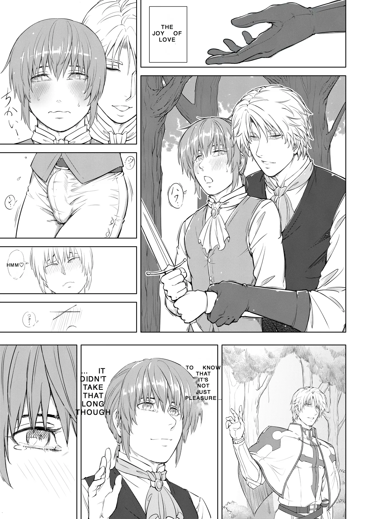 The Knight and the Prince's Secret Night page 11 full