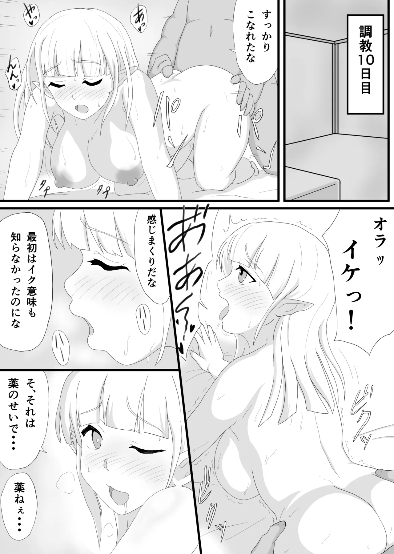 Ginpatsu Elf wo choukyou shite kairaku ochi page 11 full
