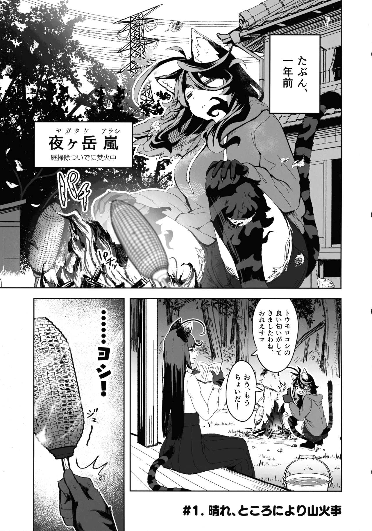 Hare, Tokidoki Arashi page 5 full