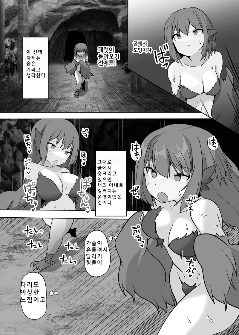 TSF Mamono Musume ~Isekai de Happy ni Kaerarete~ | TSF 마물 아가씨 ~이세계에서 하피로 바뀌어~ page 11 full