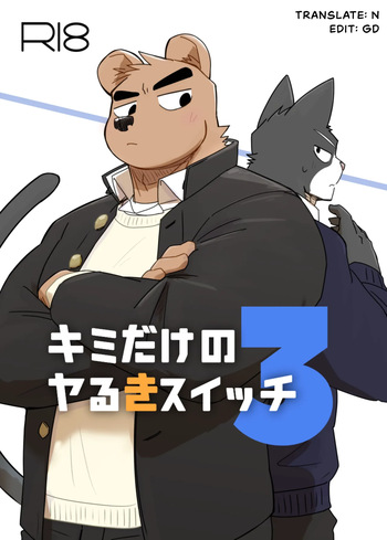 Kimi dake no Yaruki Switch 3 [Eng][Digital] cover