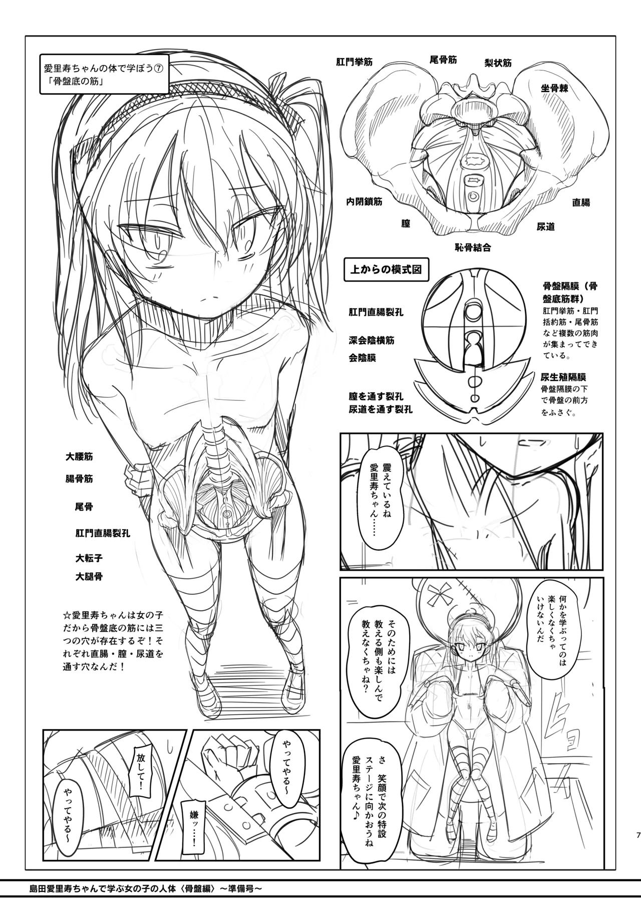 島田愛里寿ちゃんで学ぶ女の子の人体〈骨盤編〉下巻［準備号］ page 7 full