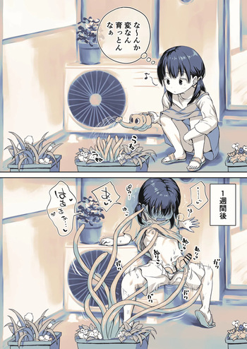 [Ayanakitori] Ukkari Shokushu Shokubutsu o Sodatechatta Futanari-chan cover