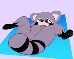 Rambley Raccoon Doodles