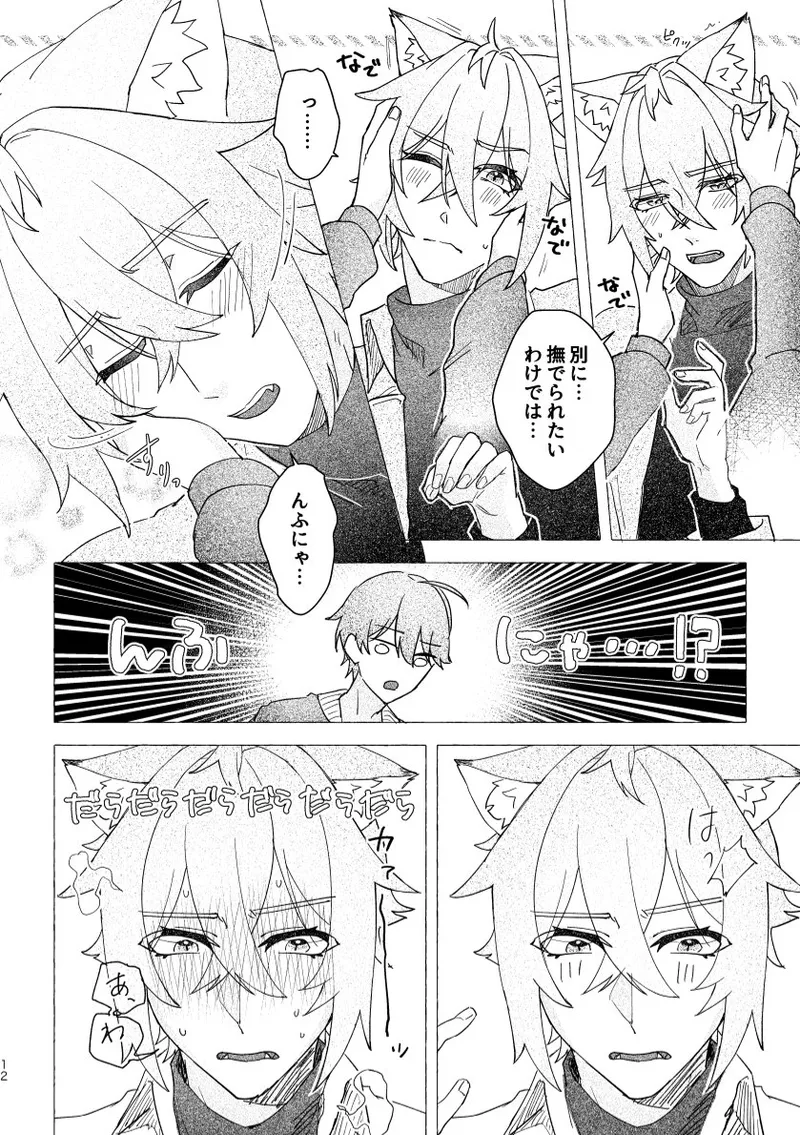 Seth no Neko Bubun Okarishimasu page 12 full