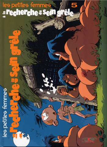 Les petites femmes 05 - A la recherche du seigneur cover