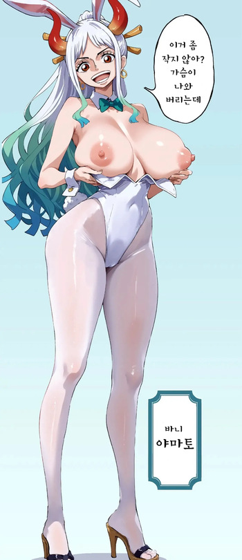 YAMATO bunny cover