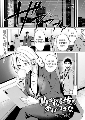 [Regdic] Magareru Eda mo Kawai kana | 약점이 있는 것도 귀여울까나 (COMIC Kairakuten BEAST 2025-04) [Korean] [Digital] [Decensored] cover
