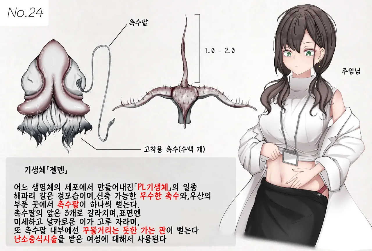 Insect Research Report No.24 | 벌레 연구 보고서 No.24 page 1 full