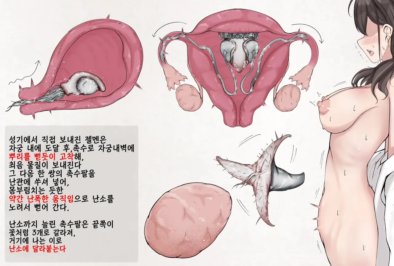 Insect Research Report No.24 | 벌레 연구 보고서 No.24 page 3 full