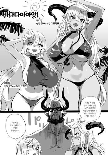 [Asanagi] Mizugi Fediel vs Draph (Granblue Fantasy) [Digital] [Korean] cover