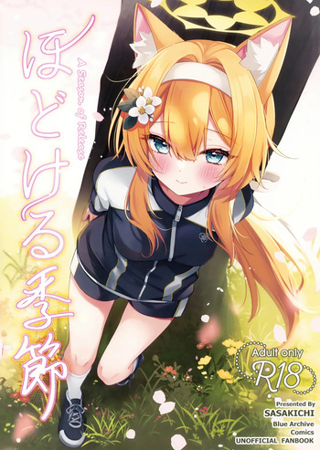 (Sensei no Archive 13) [Dekoponzu (Sasakichi)] Hodokeru Kisetsu - A Season of Release   (Blue Archive) cover