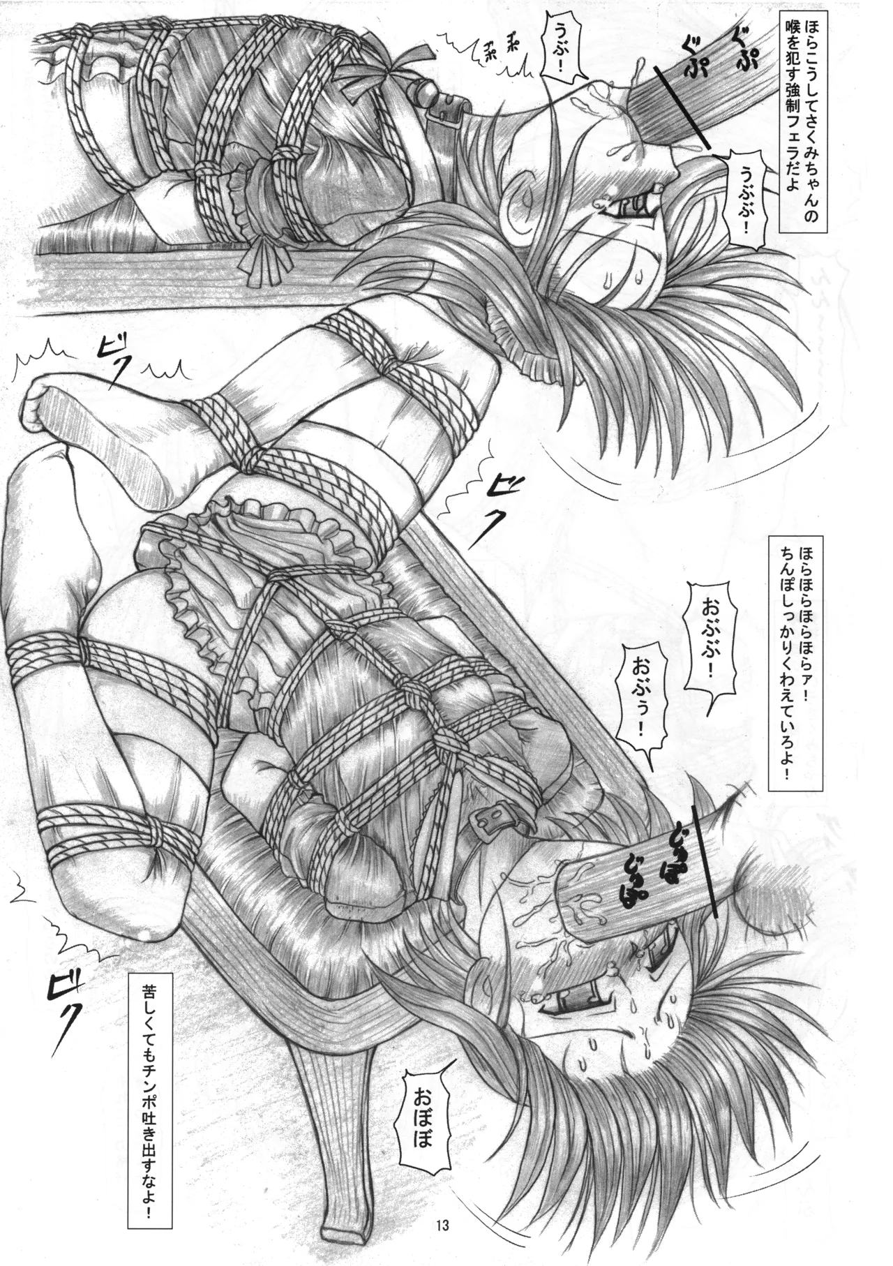 Sakumi no Kakuchou Yuugi Soushuuhen page 12 full