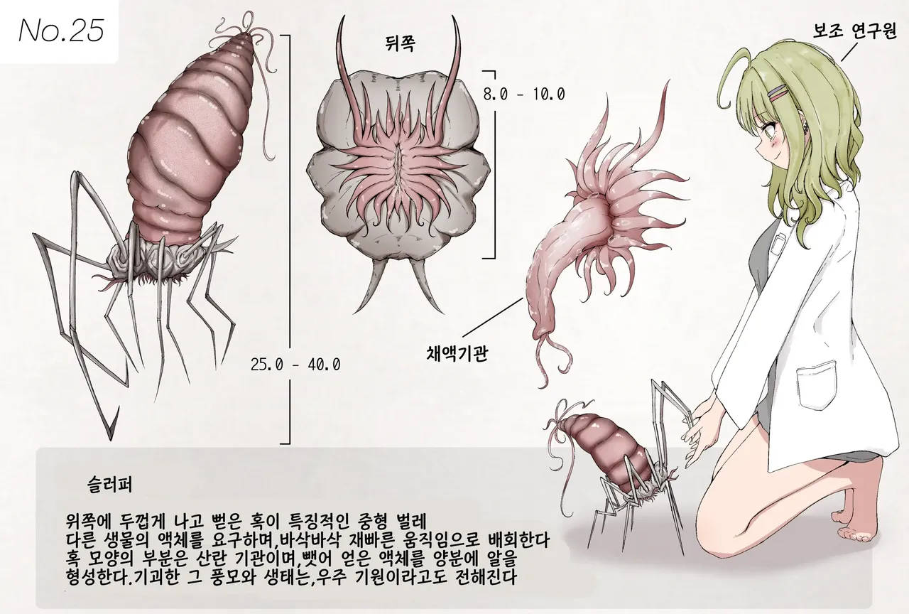 Insect Research Report No.25 | 벌레 연구 보고서 No.25 page 1 full
