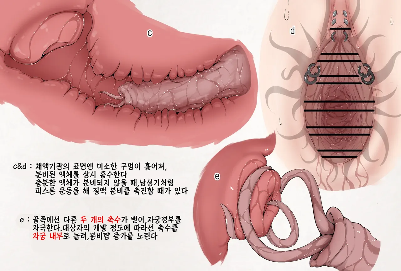Insect Research Report No.25 | 벌레 연구 보고서 No.25 page 3 full