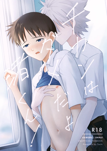 (Kimi to no Rendan 20) [Nichigetsu Seishin (Tachi)] Chikan wa Dame da yo Nagisa-kun! (Neon Genesis Evangelion) cover