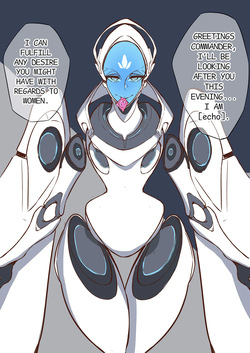 Overwatch echo  |  守望先锋echo