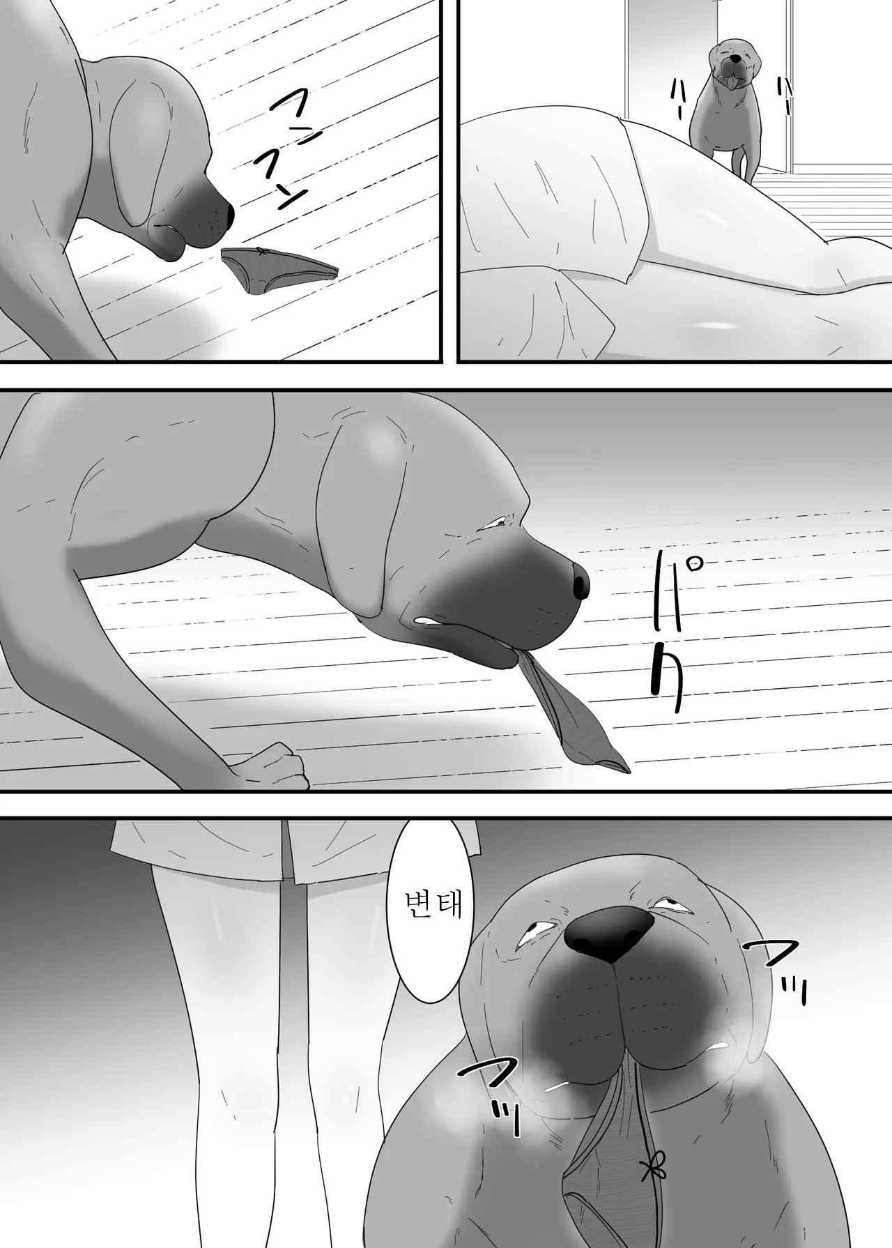 Francis wa Joshikousei ni Tanetsukeshitai!  프랜시스는 여학생에게 씨 뿌리고 싶다! page 8 full