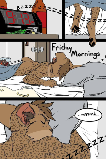 black kitten - Mornings -color cover