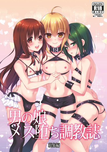 [音速エビフライ (レゥ)] 男の娘メス堕ち調教誌 総集編 [DL版] cover