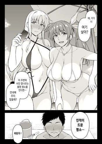 [Ishigaki Takashi] Ecchi na Onee-san-tachi ni Beach de Gyakunansareta Ken (Mahou Shoujo Lyrical Nanoha) [Korean] cover