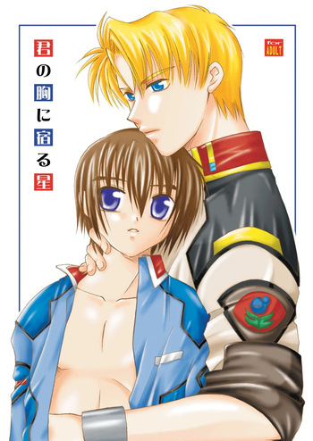 [まりあな海溝企画 (みかみ北都)] 君の胸に宿る星 (gundam seed) cover