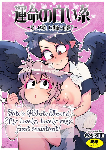 [Kuusou Etoile (CARTE)] Unmei no Shiroi Ito ~Itoshii Itoshii Hajimete no Buka~ | Fate's White Thread - My Dear Very First Assistant! (Touhou Project) [English] cover