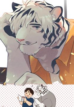 CV: My Tiger Boyfriend