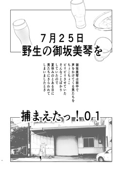 Natsuyasumi Kocchan Jiyuu Kenkyuu