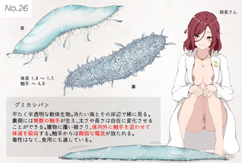 [gura] Mushi Research Report No.26 cover