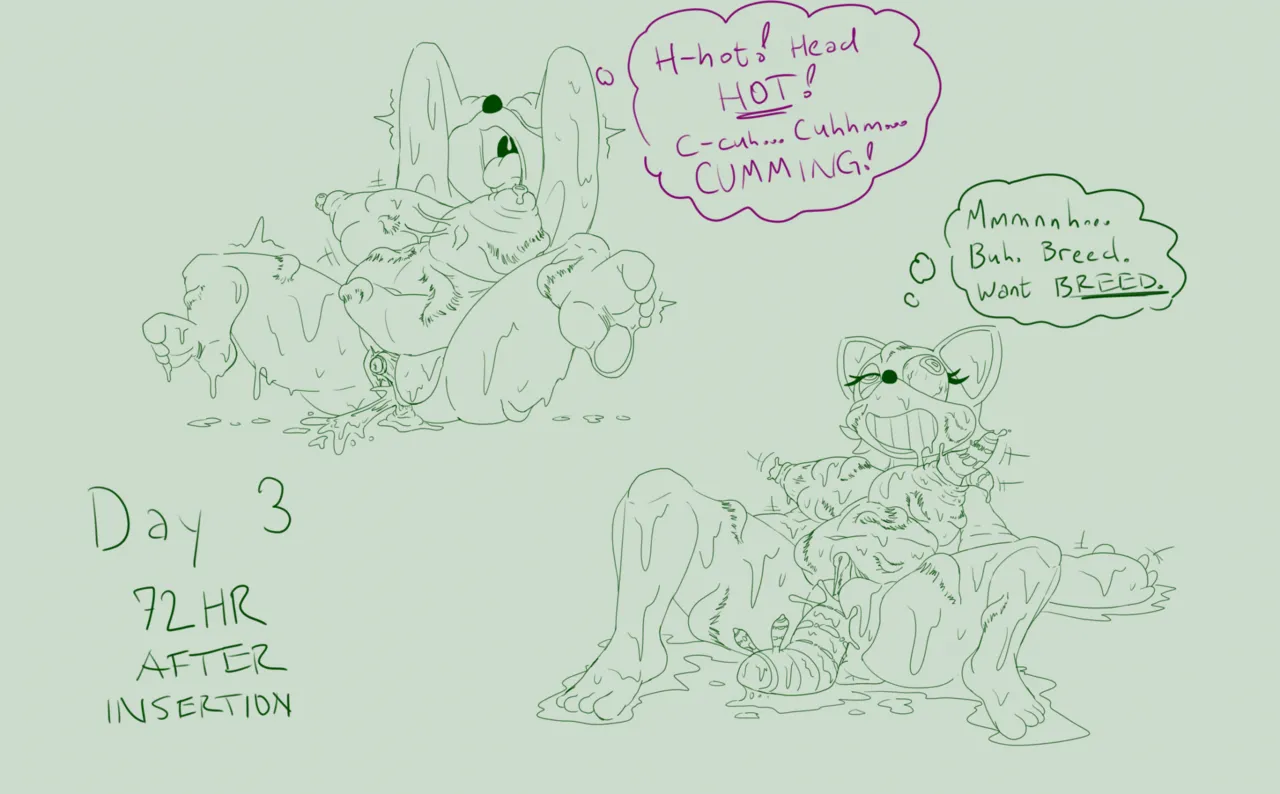 Ludico Case + Extras page 3 full